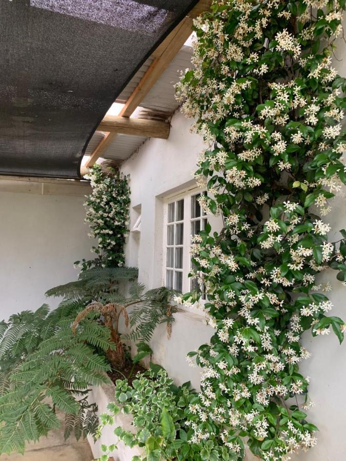 Shabach Farm Vila Hartebeest Rivier Exterior foto